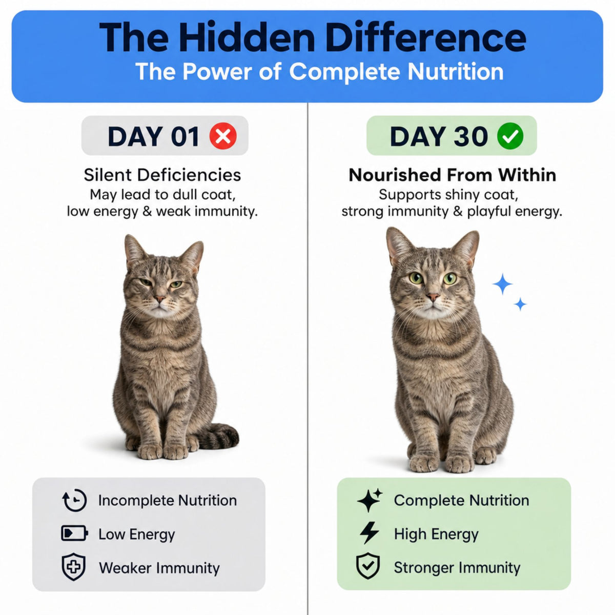 Furonic™ Taurine for Cats — Heart, Vision & Vitality Support (200g Powder, 30 Servings)